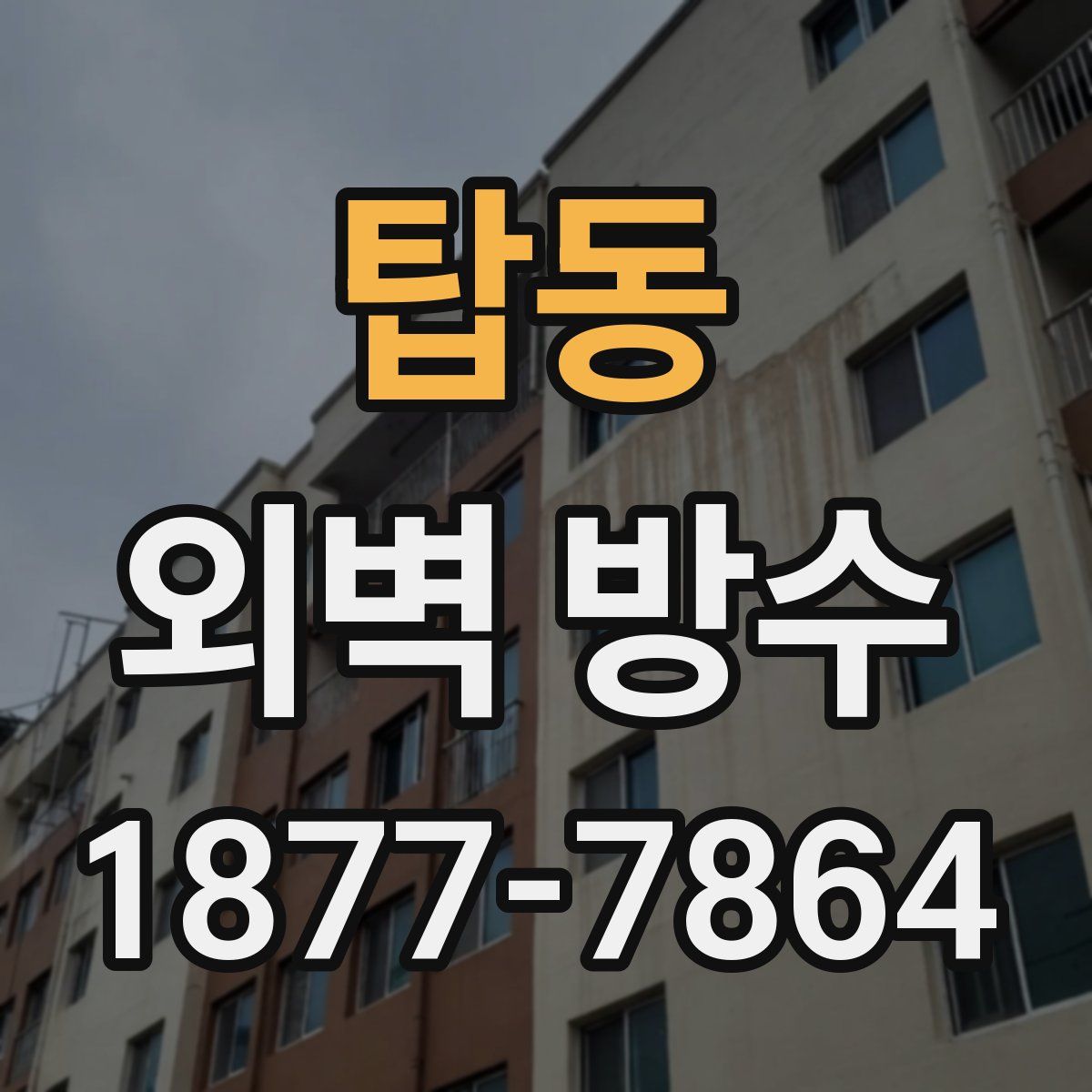 탑동 외벽 방수