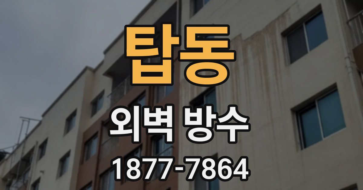 탑동 외벽 방수