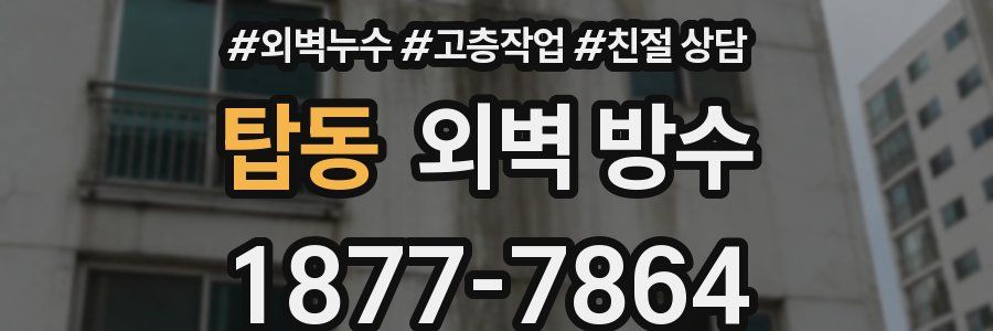 탑동 외벽 방수