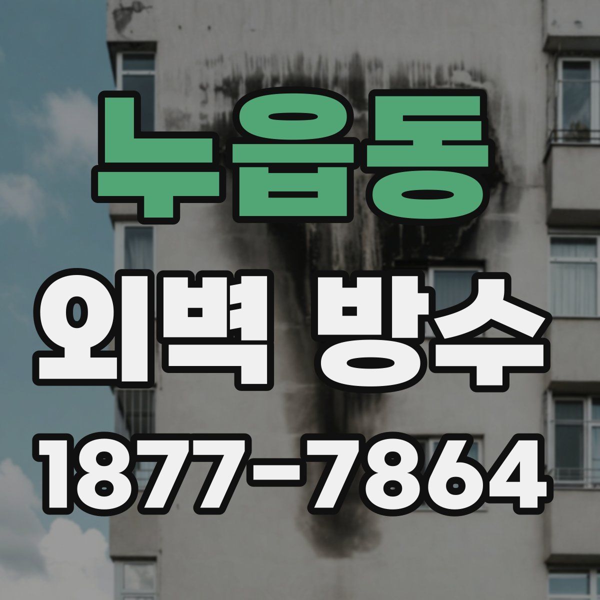 누읍동 외벽 방수