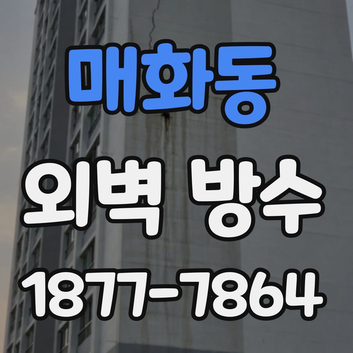 매화동 외벽 방수