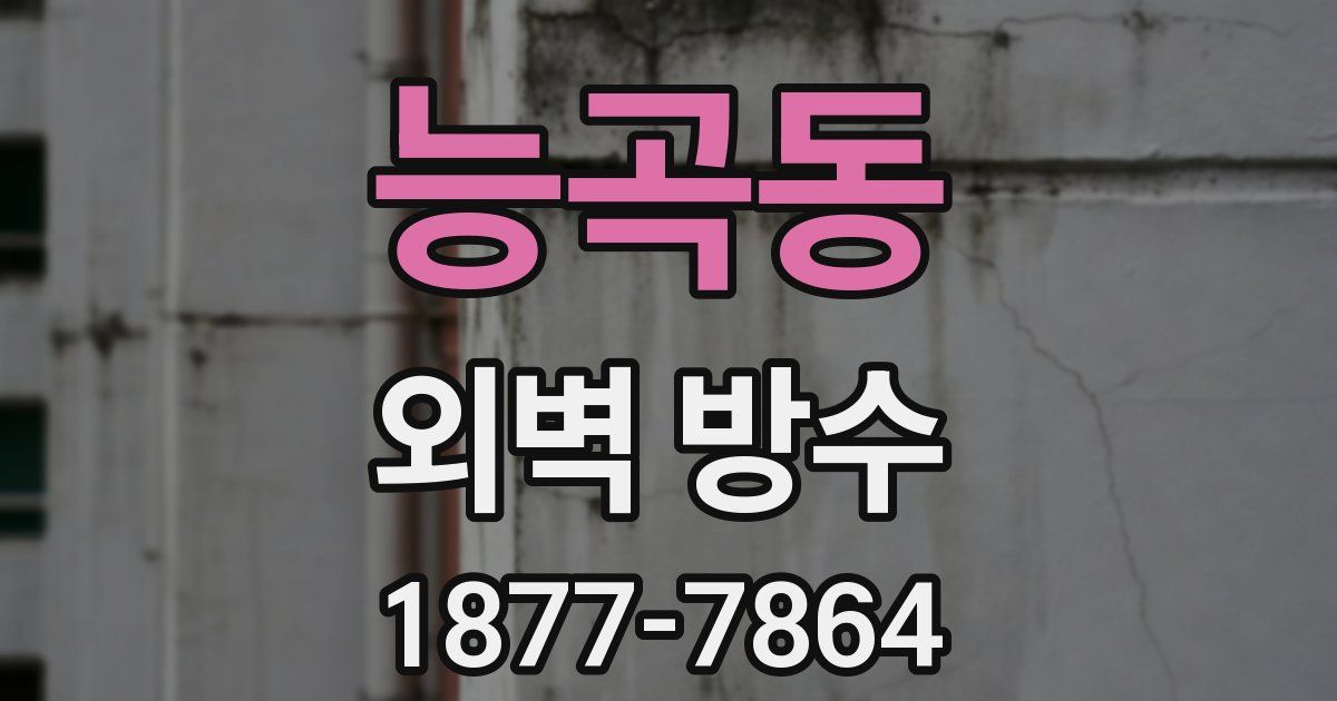 능곡동 외벽 방수