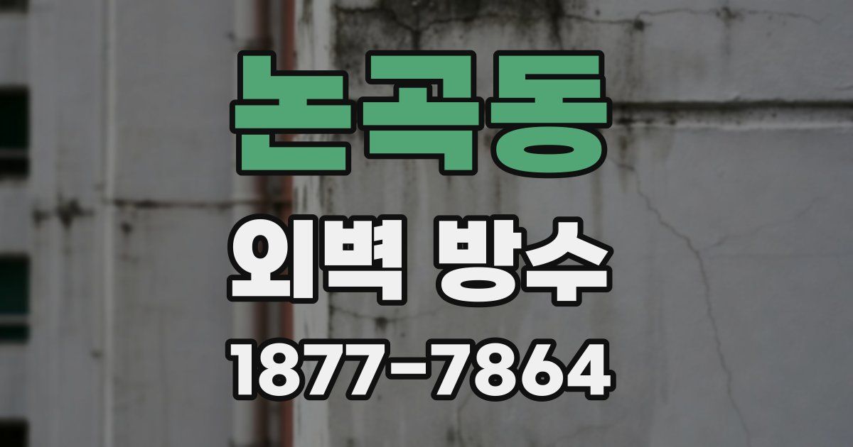 논곡동 외벽 방수