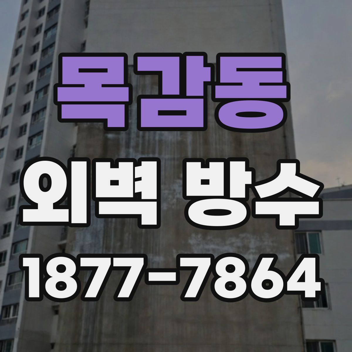 목감동 외벽 방수