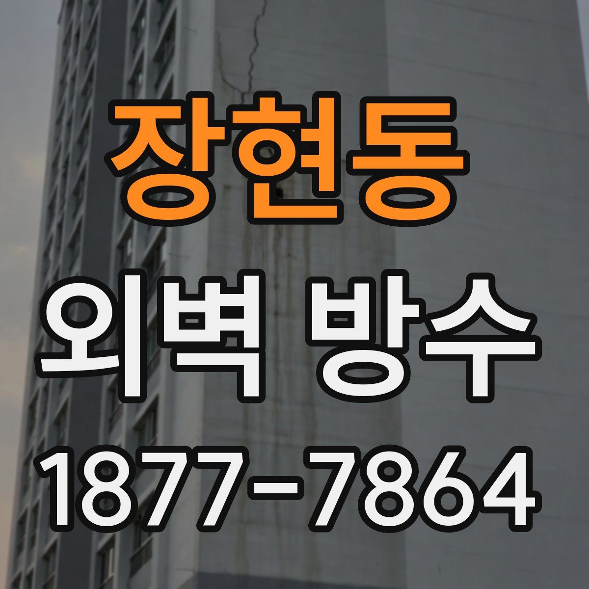 장현동 외벽 방수