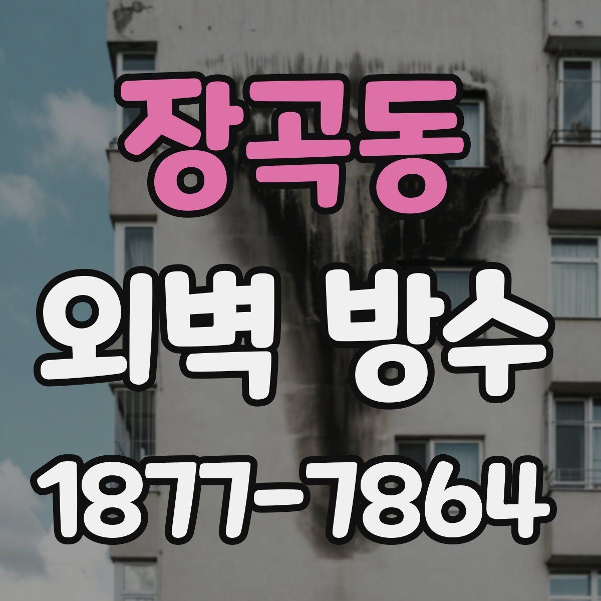 장곡동 외벽 방수