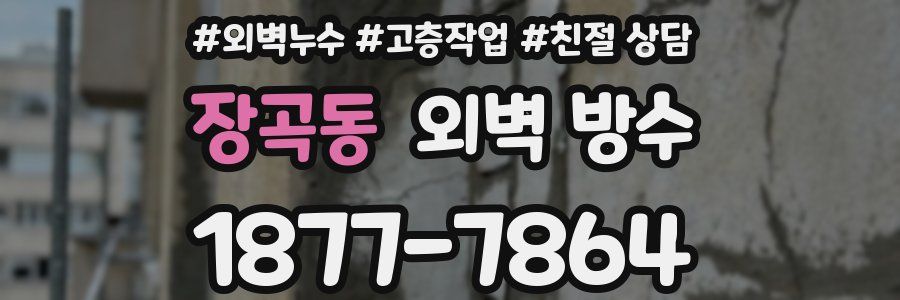 장곡동 외벽 방수