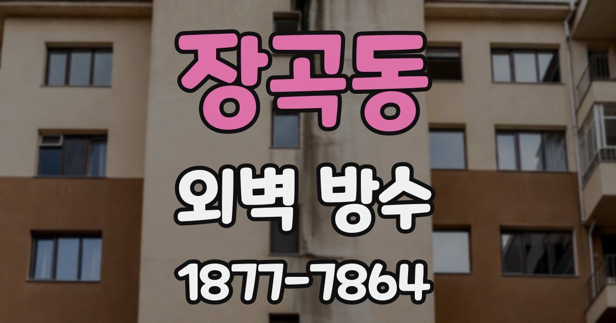 장곡동 외벽 방수