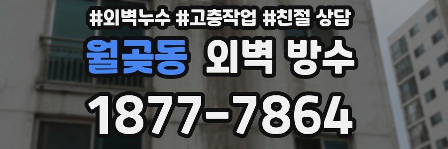 월곶동 외벽 방수
