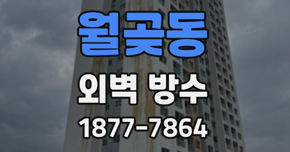 월곶동 외벽 방수