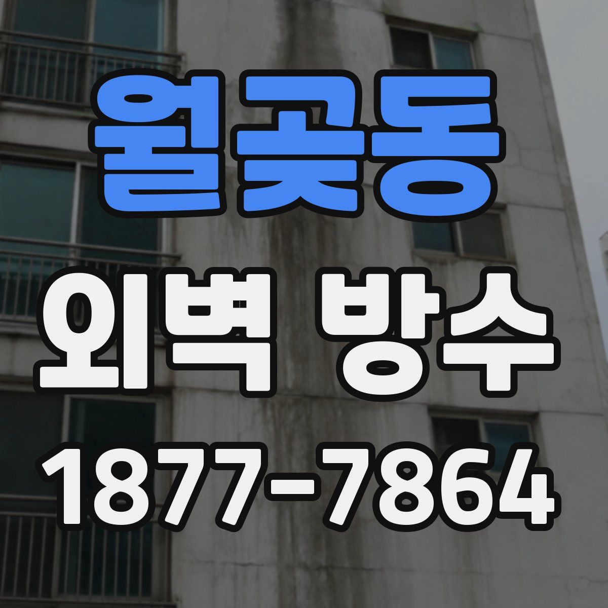 월곶동 외벽 방수