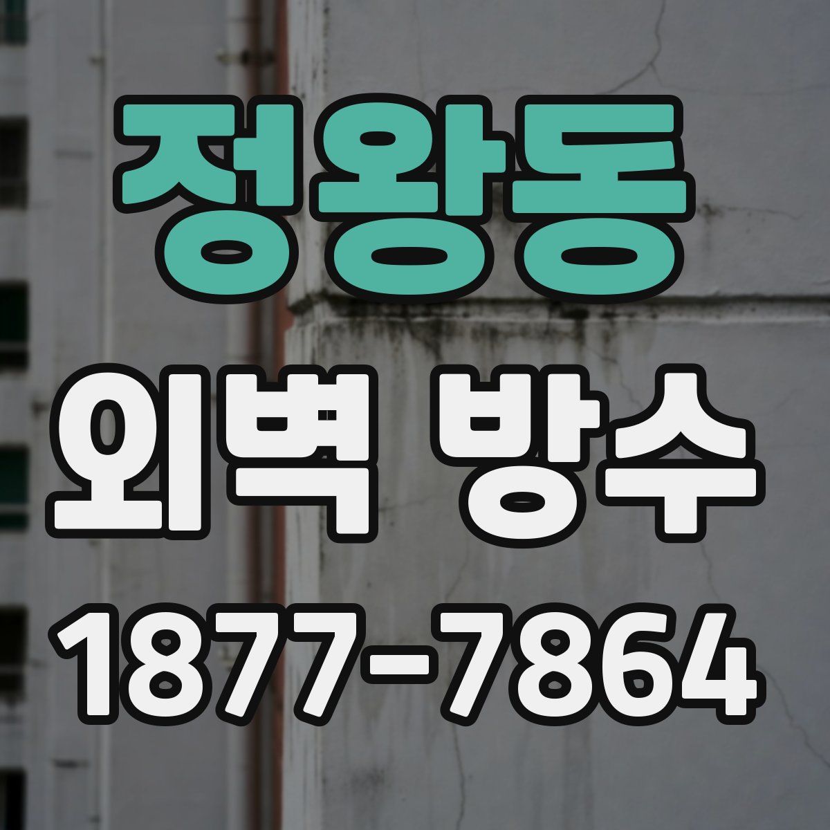 정왕동 외벽 방수
