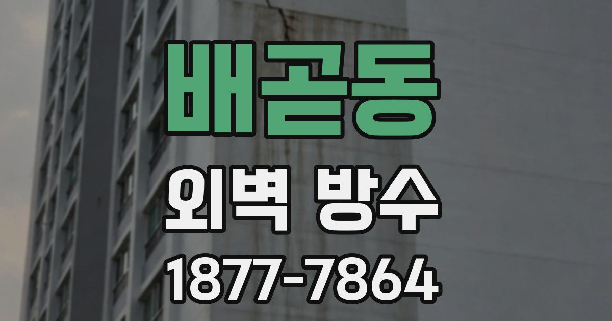 배곧동 외벽 방수