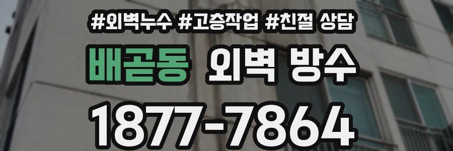 배곧동 외벽 방수