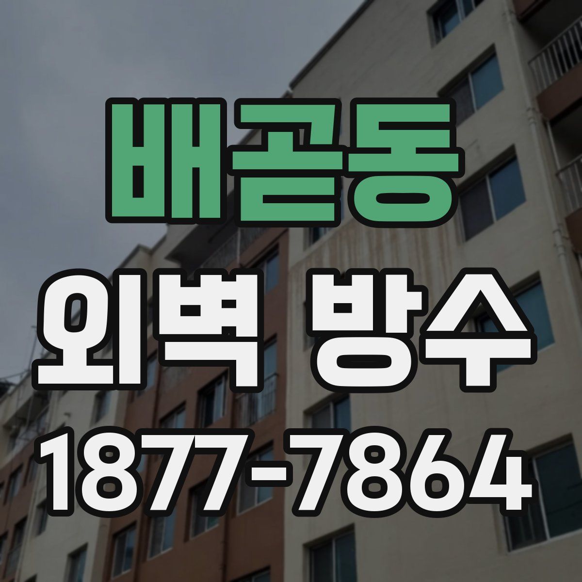 배곧동 외벽 방수