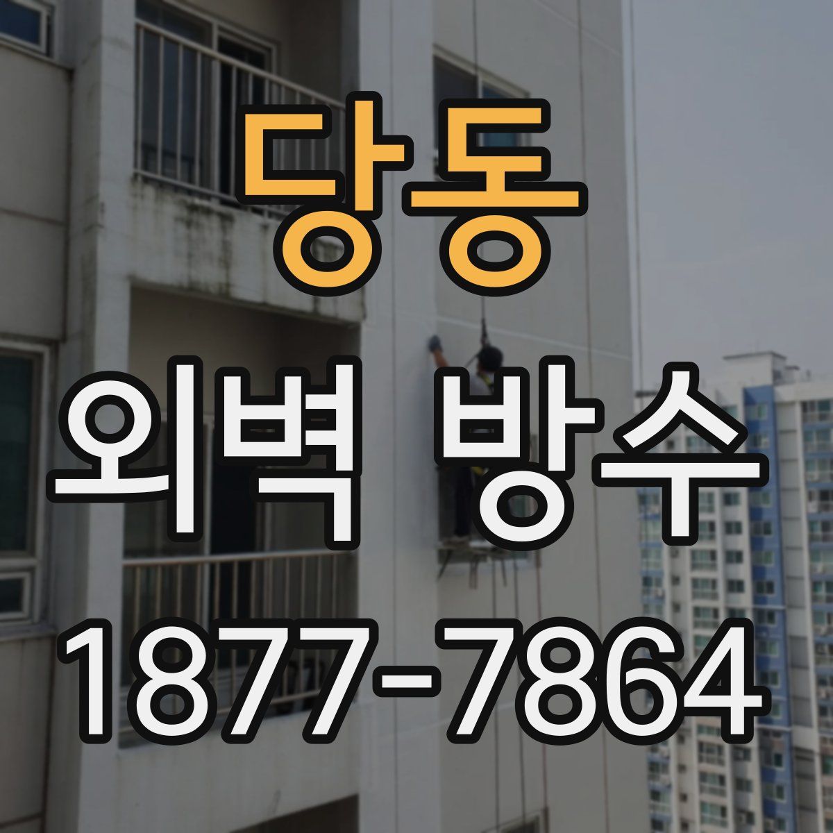 당동 외벽 방수