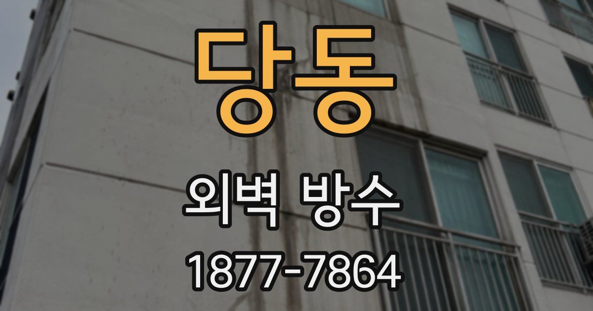 당동 외벽 방수