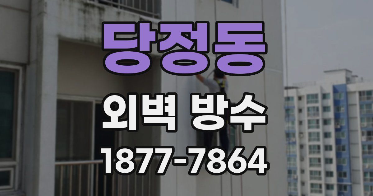 당정동 외벽 방수