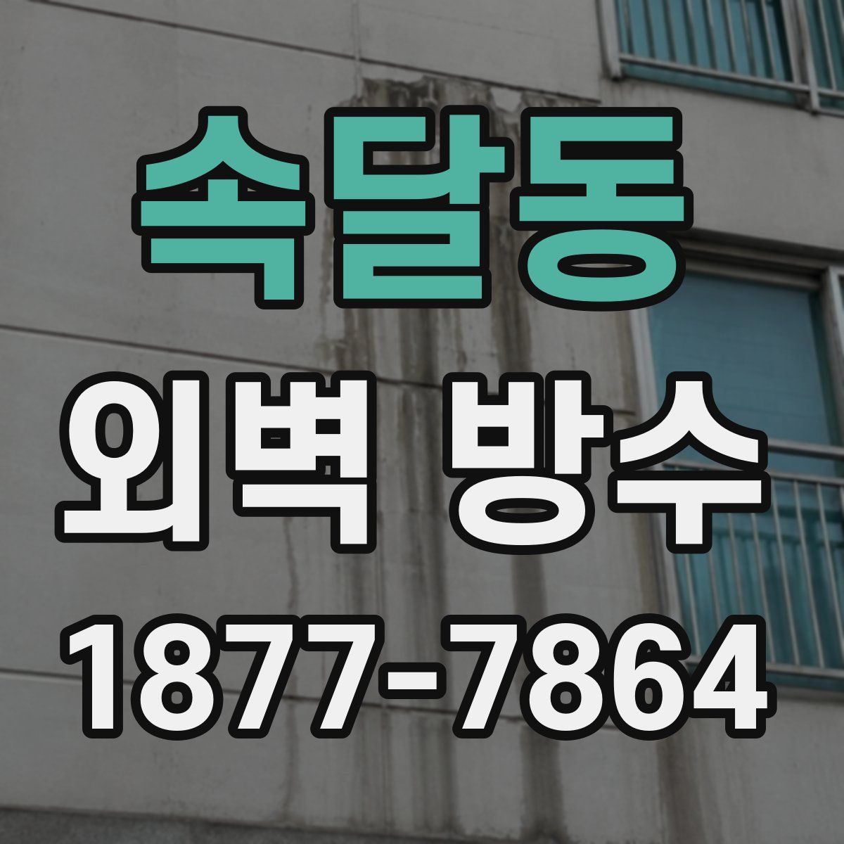 속달동 외벽 방수