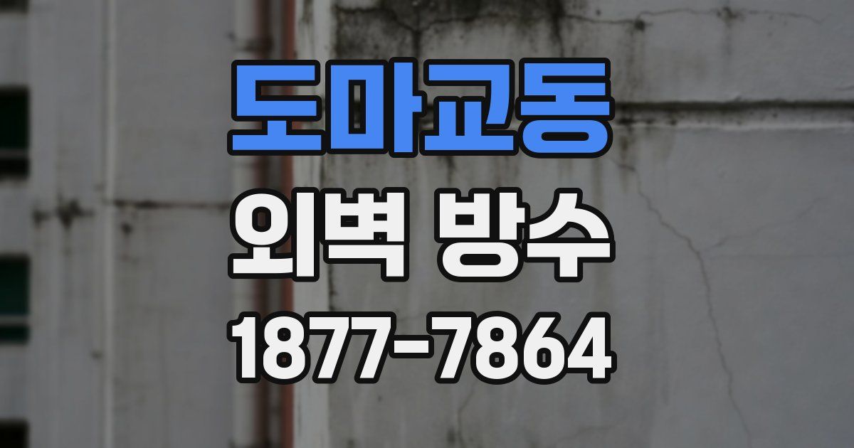 도마교동 외벽 방수