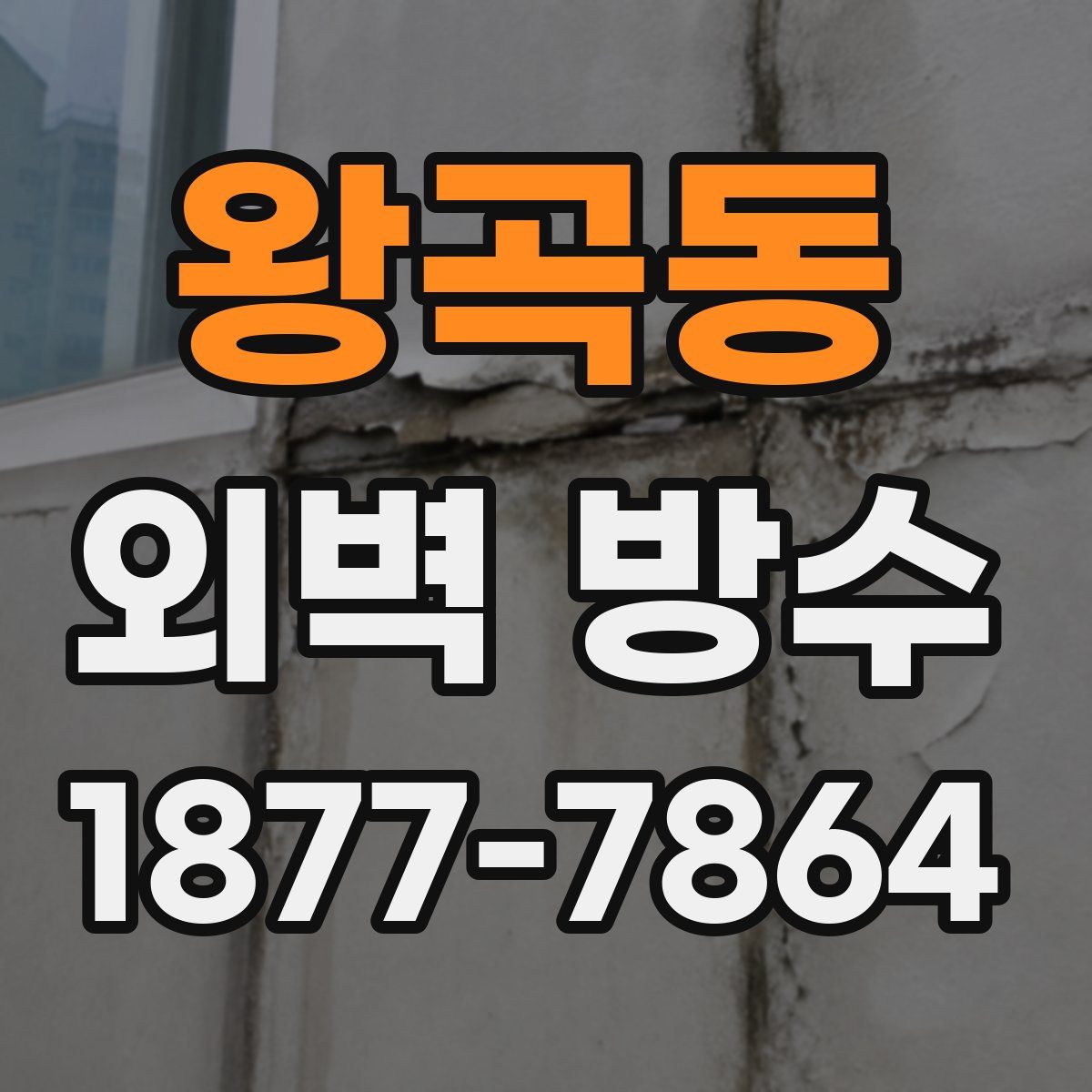 왕곡동 외벽 방수