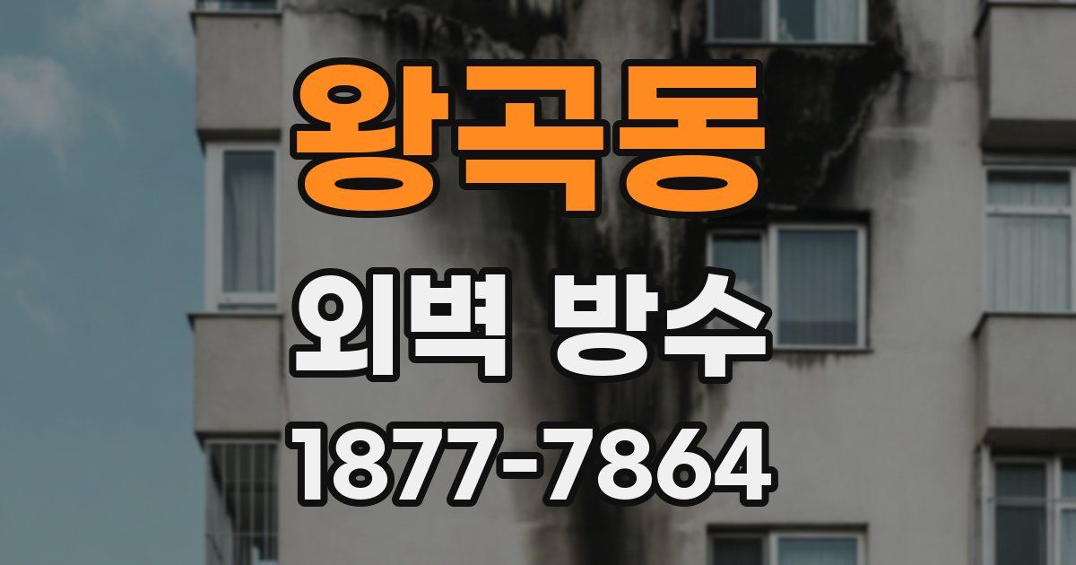 왕곡동 외벽 방수