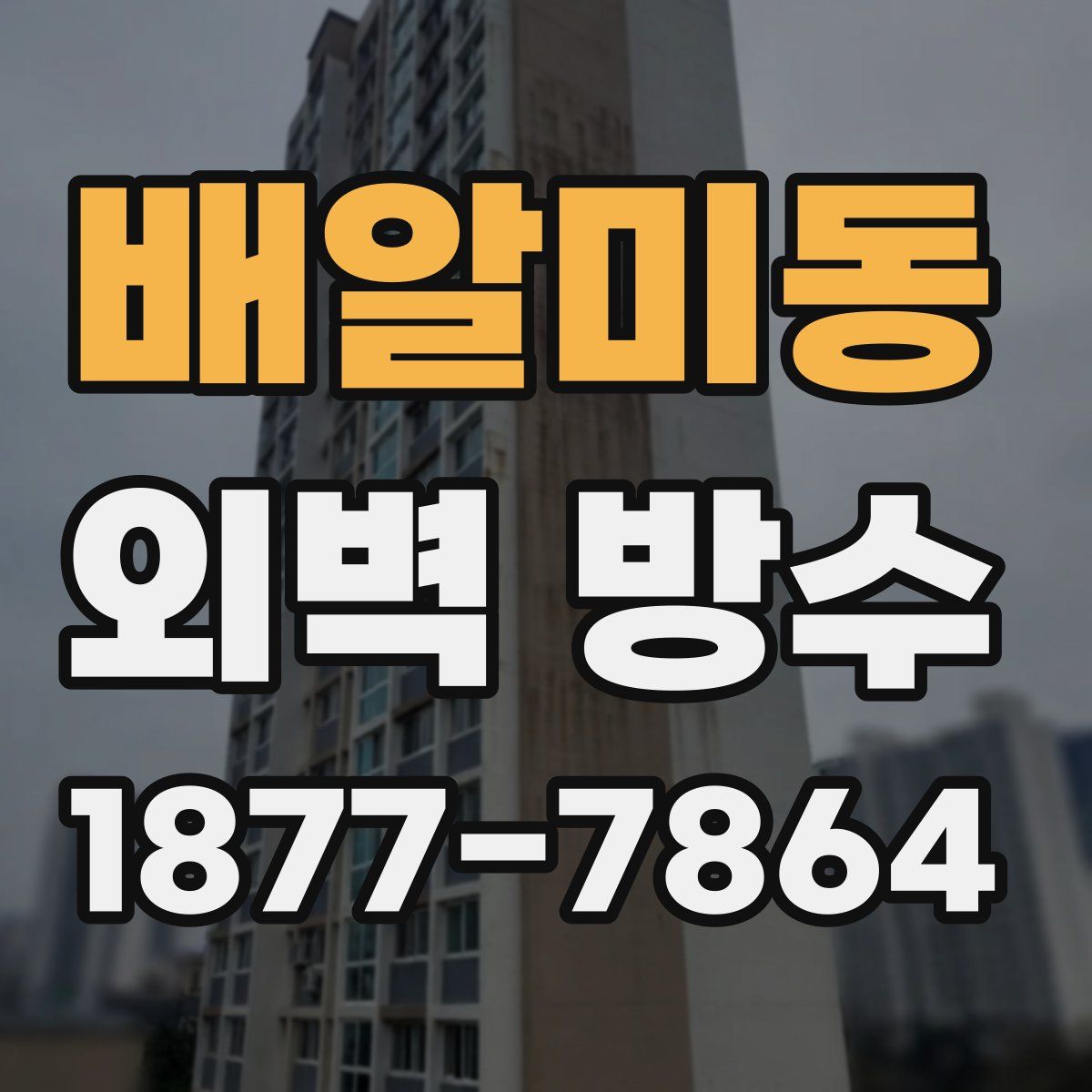 배알미동 외벽 방수