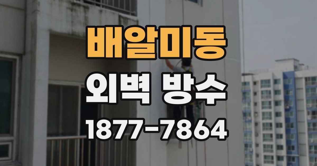 배알미동 외벽 방수