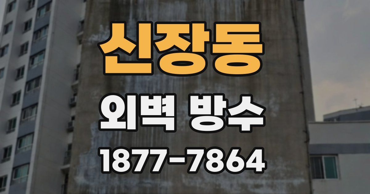 신장동 외벽 방수