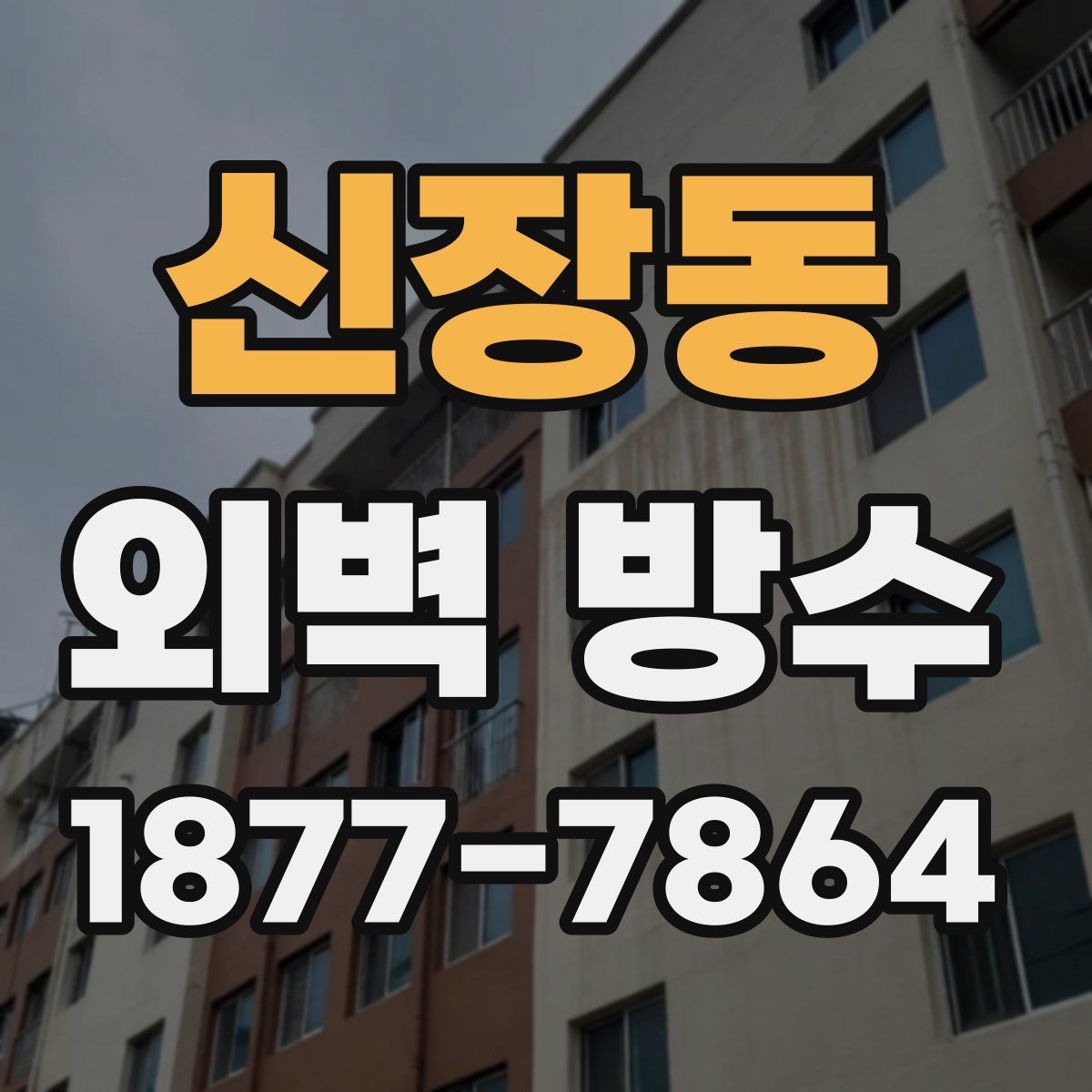 신장동 외벽 방수