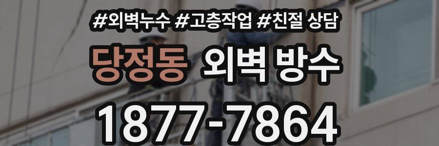 당정동 외벽 방수