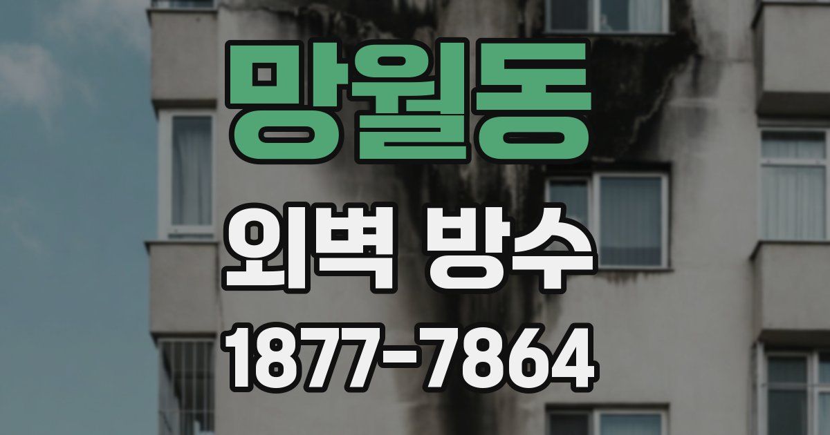 망월동 외벽 방수