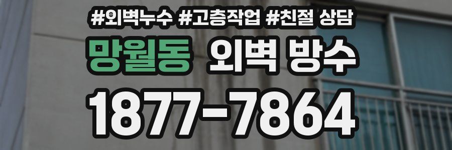 망월동 외벽 방수