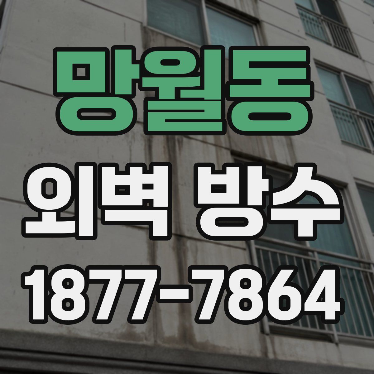 망월동 외벽 방수