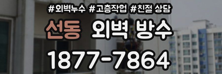 선동 외벽 방수