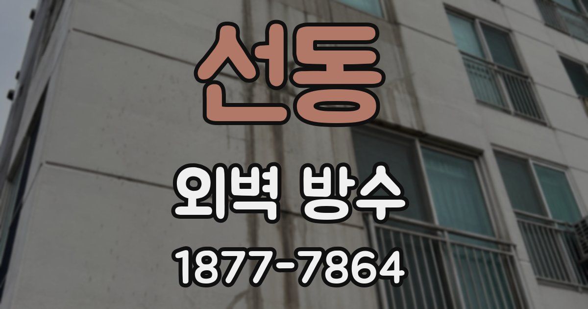 선동 외벽 방수