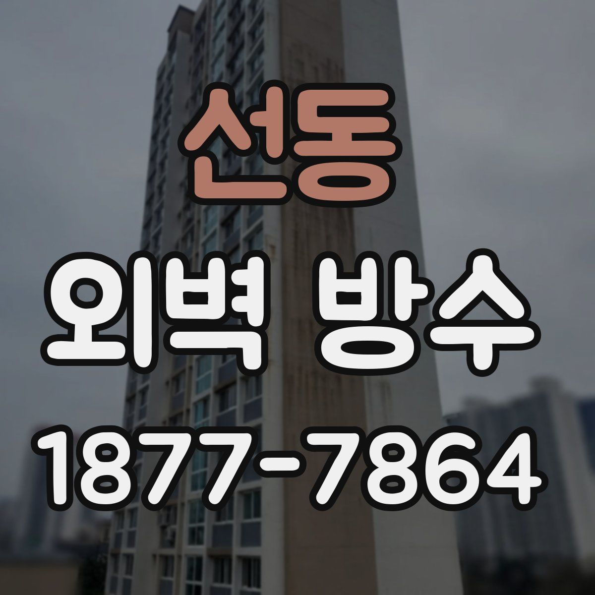 선동 외벽 방수