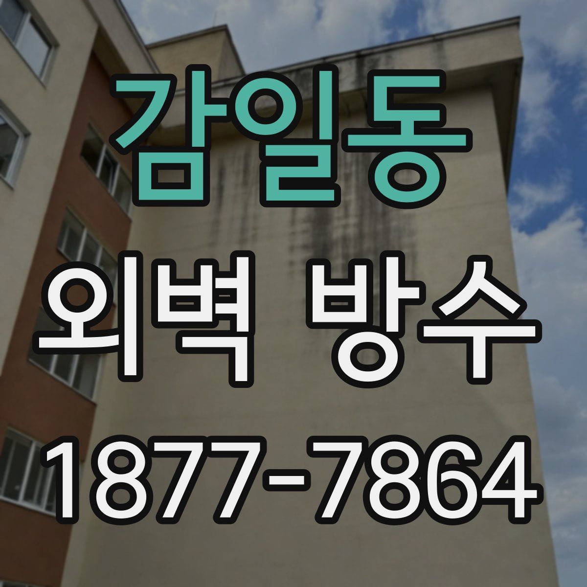 감일동 외벽 방수