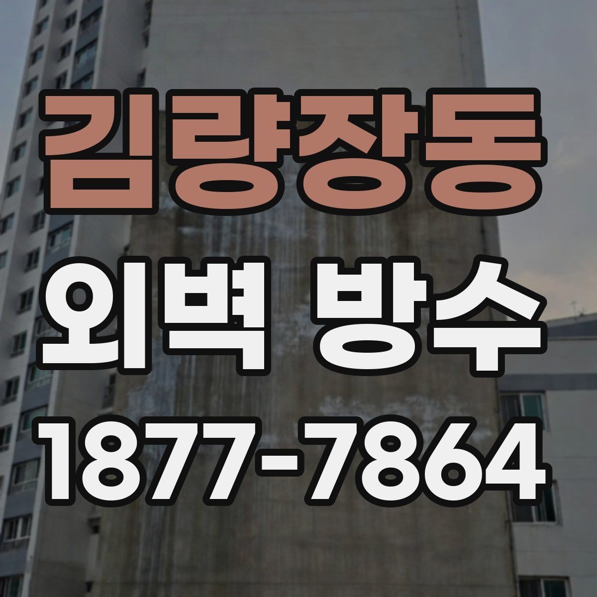 김량장동 외벽 방수 종류별 특징과 선택 기준