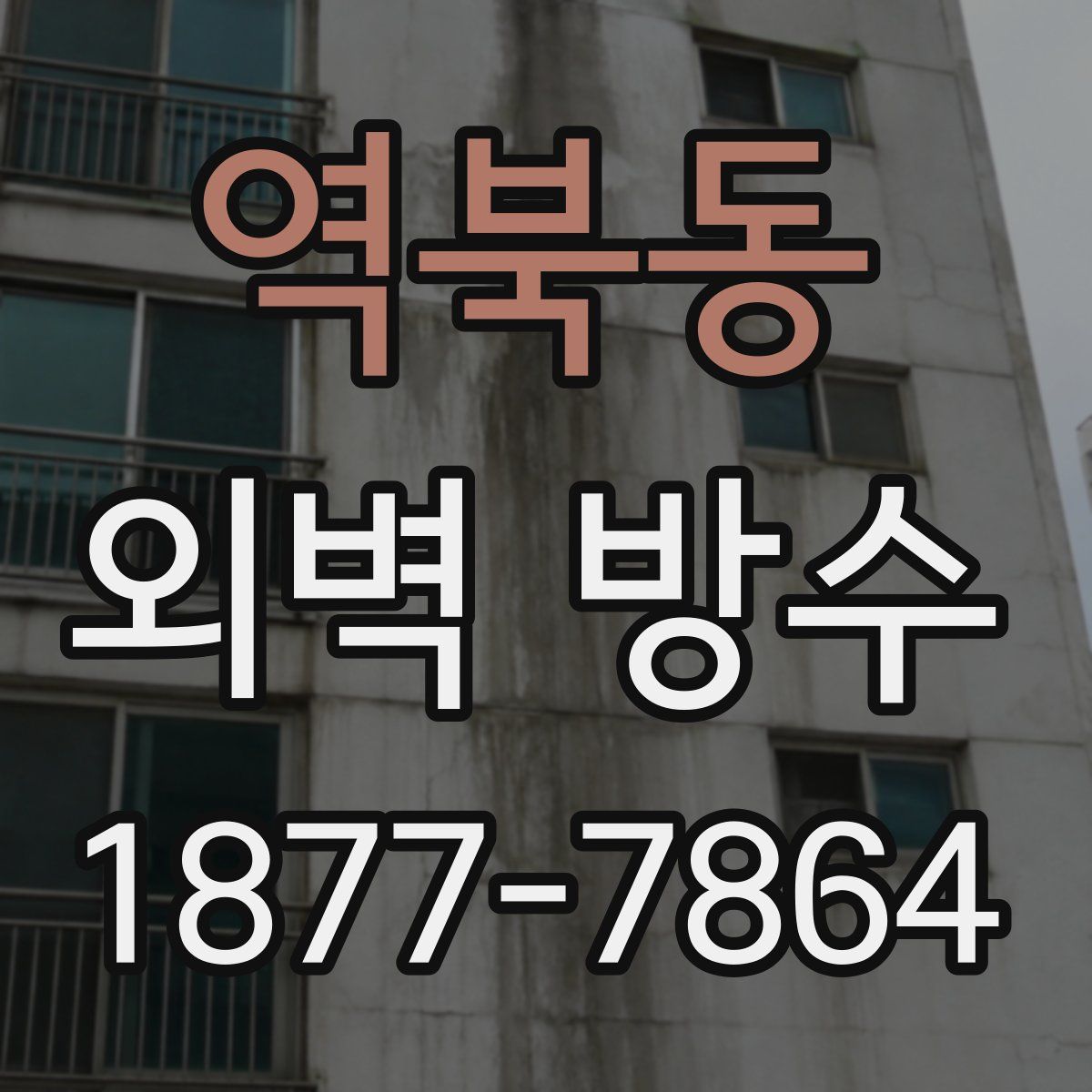 역북동 외벽 방수