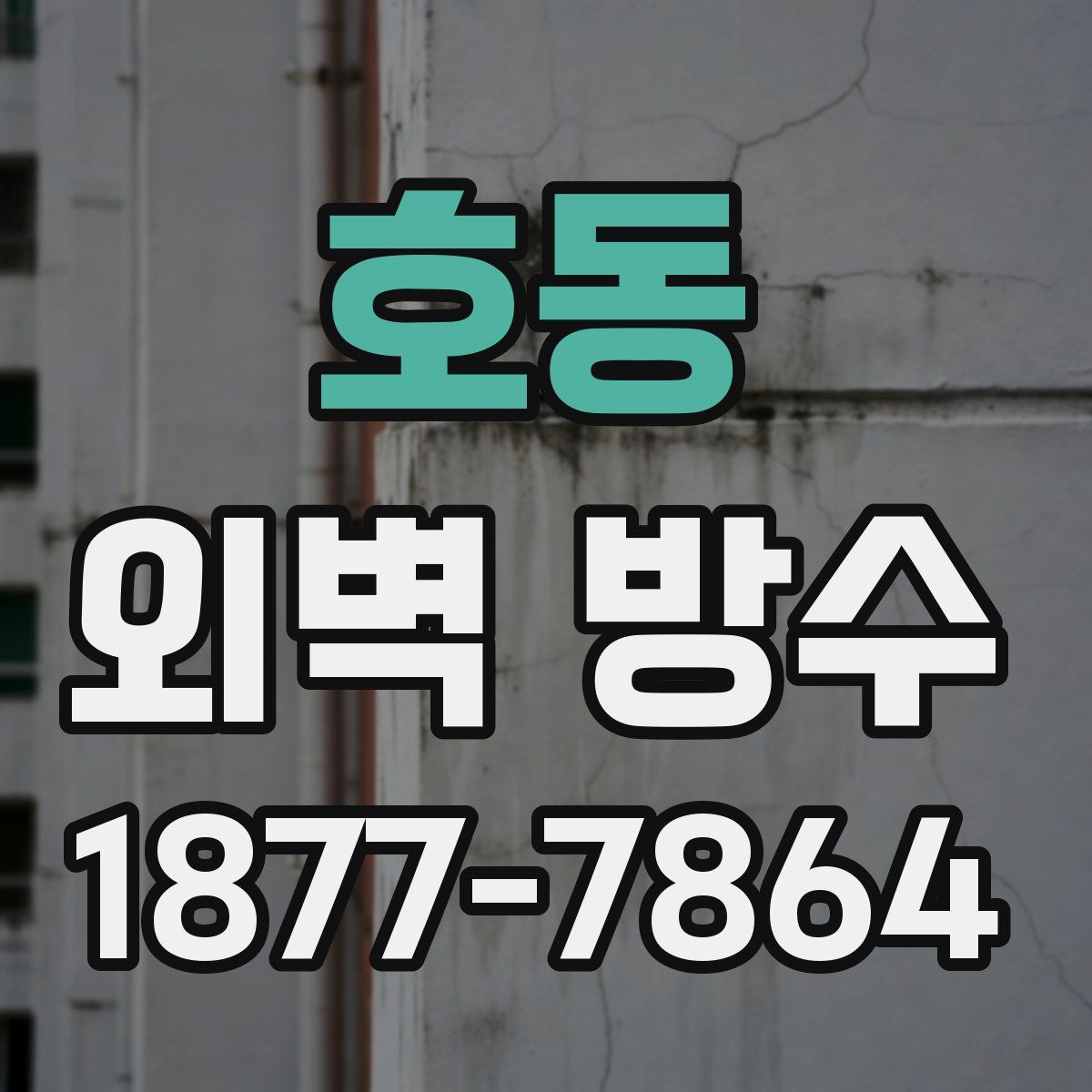 호동 외벽 방수