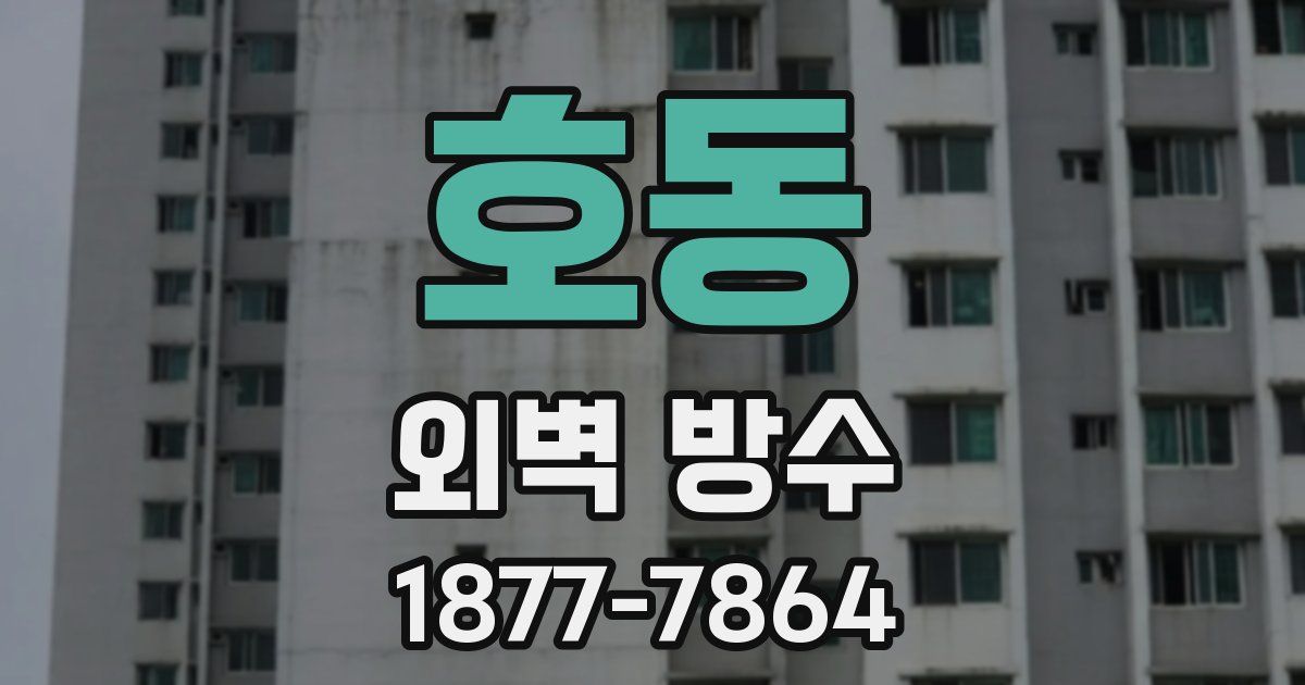 호동 외벽 방수