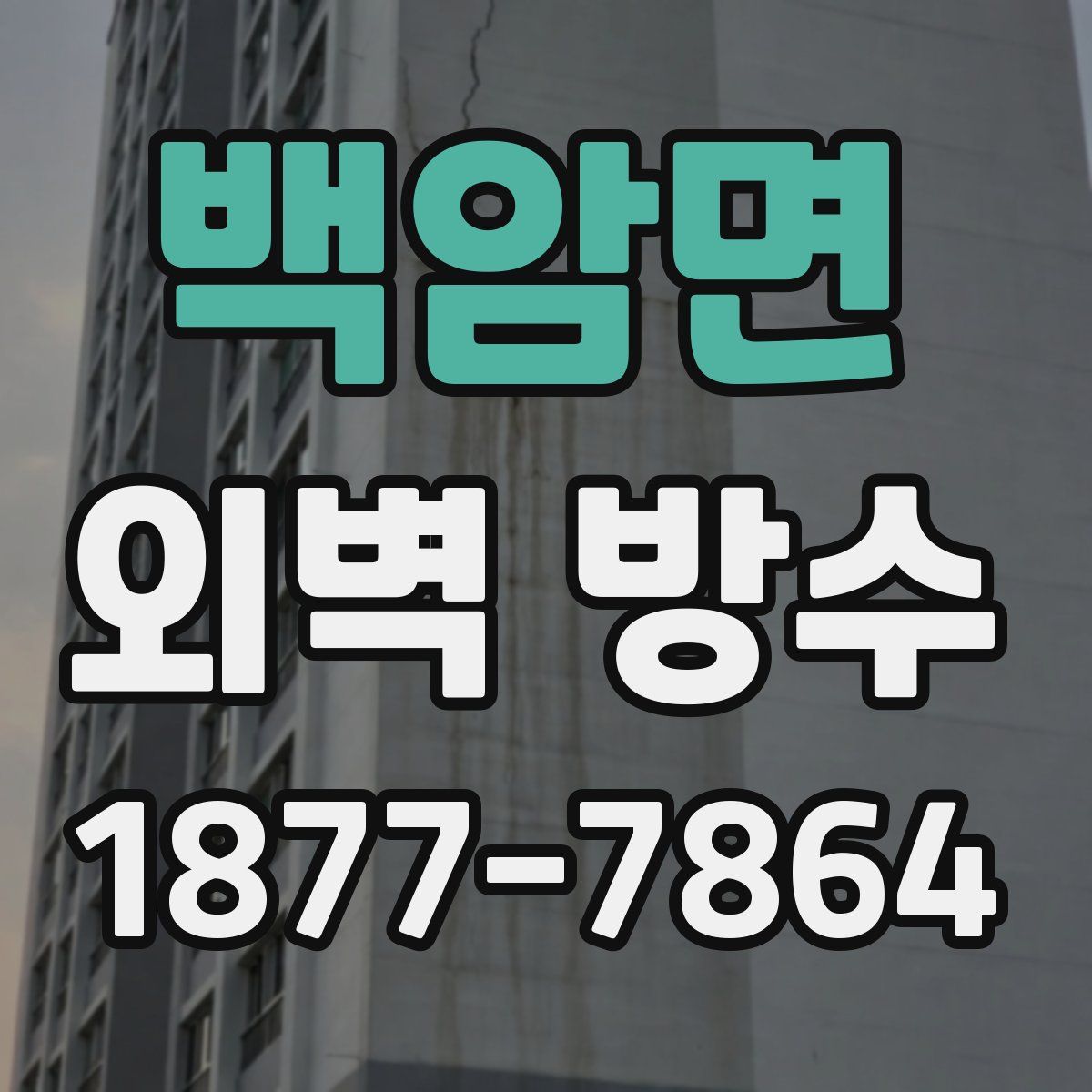 백암면 외벽 방수