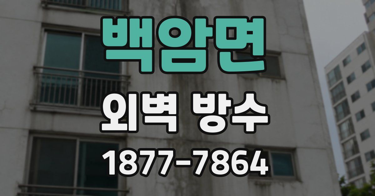 백암면 외벽 방수