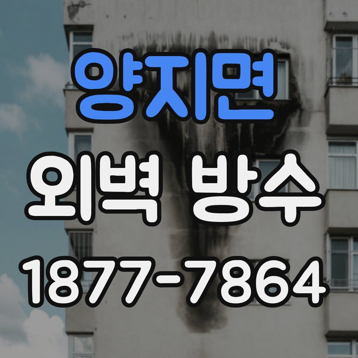 양지면 외벽 방수