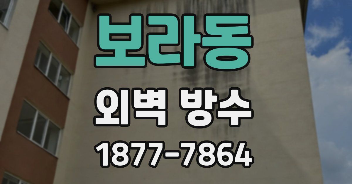 보라동 외벽 방수