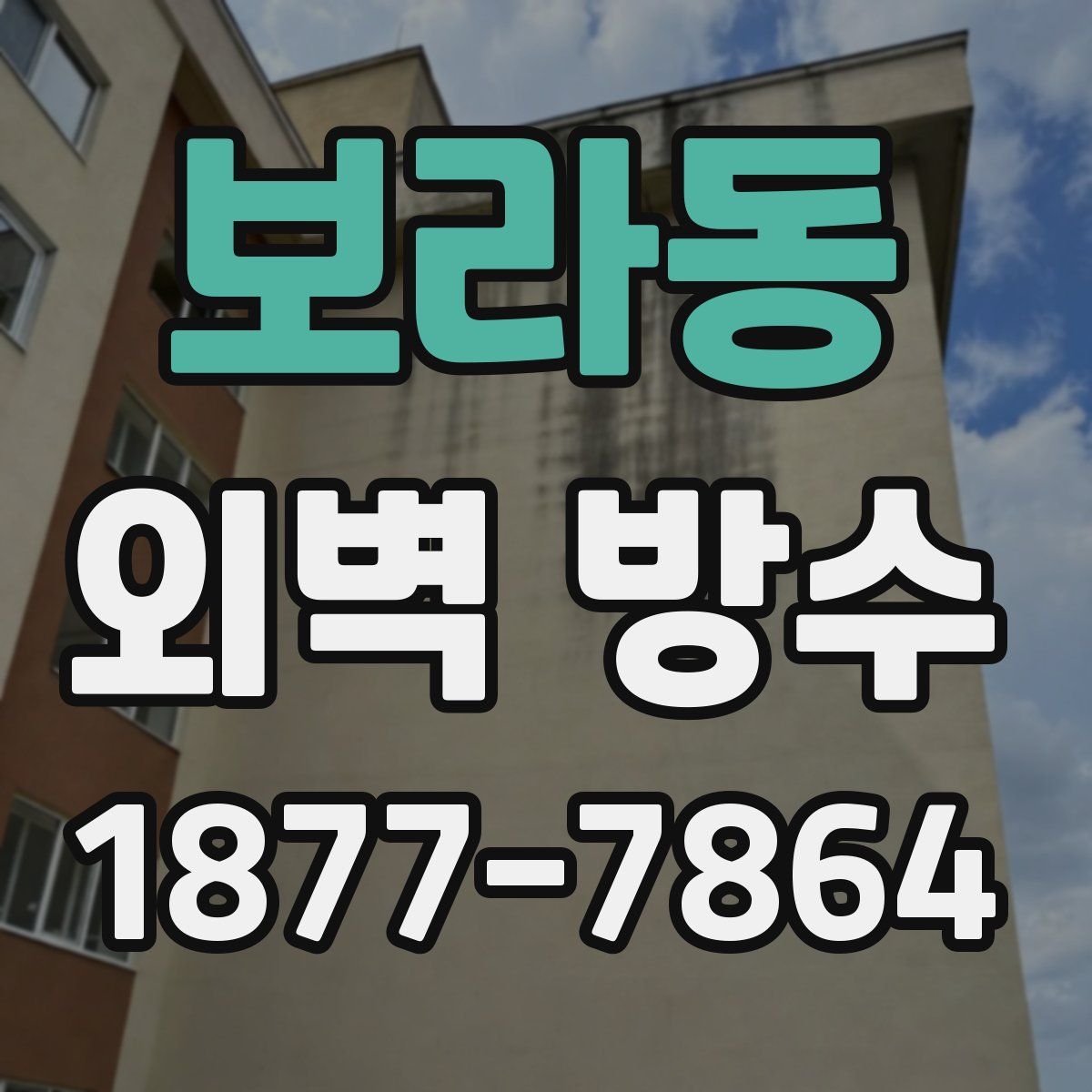 보라동 외벽 방수