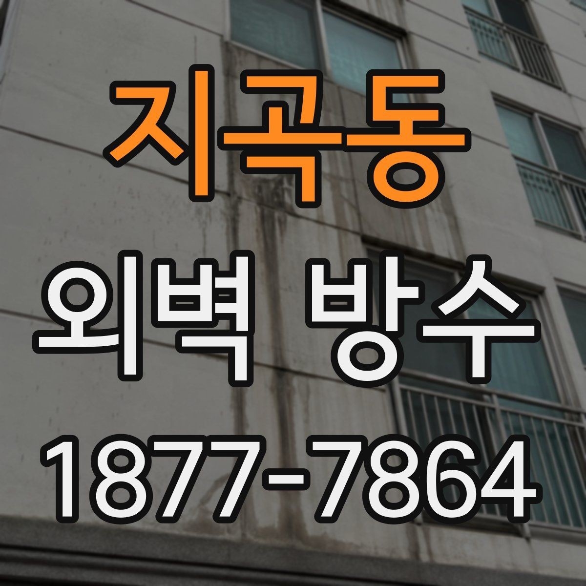 지곡동 외벽 방수 현장 점검 포인트 정리