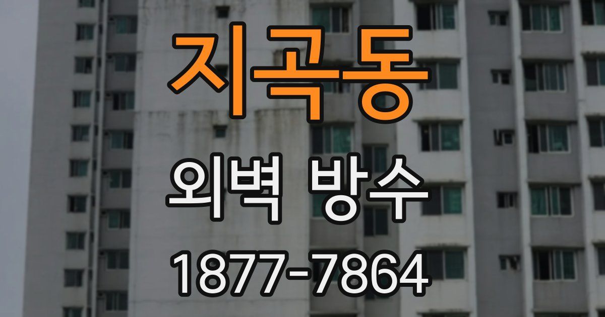지곡동 외벽 방수