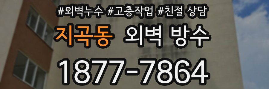 지곡동 외벽 방수